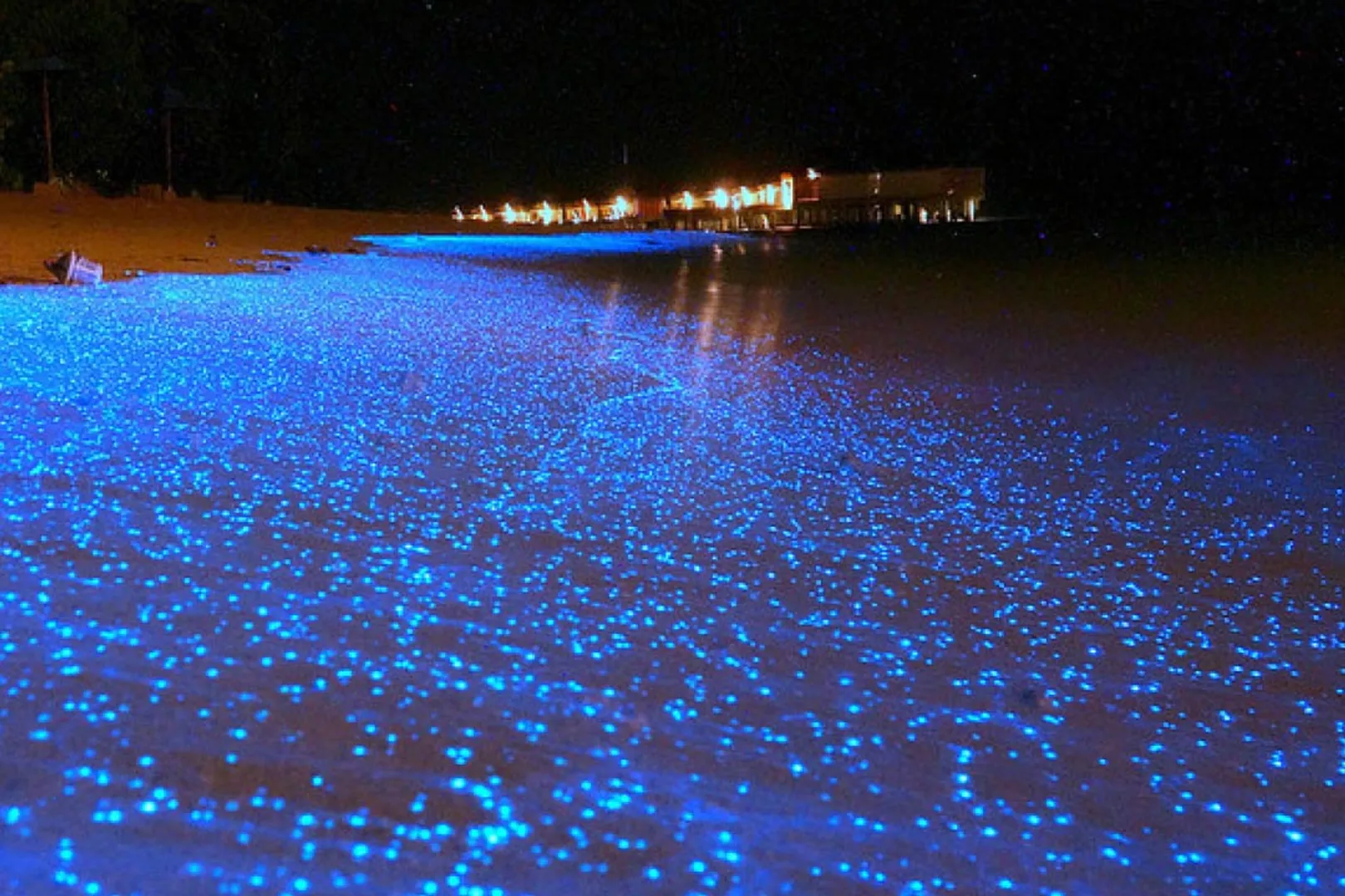 OCEAN